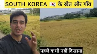 SOUTH KOREA 🇰🇷 के गांव और खेतीबाड़ी | village life of south korea