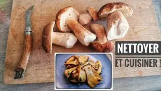 Comment nettoyer, cueillir et cuisiner les champignons! Conseils et astuces ! #champignons #cepe