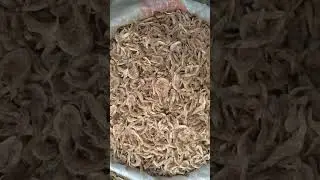 Dried Fish🧩ᯓ➤👉1.7M#Copenhagen #Nukk #greenland  #DKK#viral #shortsfeed #tiktokeffects #fishcury🎆🌍💫👌🤣