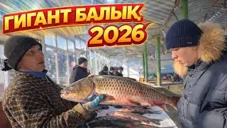 ҚАРАҚАЛПАҚСТАН НӨКИС ГӨНЕ ҚАЛА БАЛЫҚ БАЗАРЫ БАХАЛАРЫ