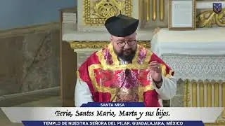 Homilia Santo Sacrificio de La Misa, Santos Mario, Marta y sus dos hijos San Canuto 19 de Enero 2026