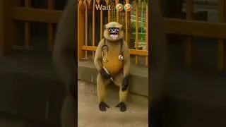 Dogesh 🐶 #viral #funny #comedy #reels #shorts #dog