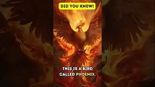 Phoenix Bird  Is it Real or Mythical! #Shorts #Viral #Shortsvideo