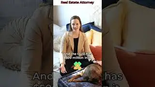 👉 Is your dog entitled to inherit your assets?