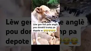 L&egrave;w gen foli pale angl&egrave; pou donald trump pa depote w 😂😂