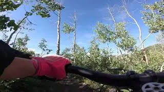 WOW Trail- PinkGloves || July 6, 2019