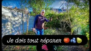 Ne PLANTEZ pas vos Arbres  FRUITIERS avant d'avoir vu ça ! (Mon FIASCO de débutant) #permaculture