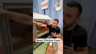 A smart chicken coop 🐓 would you get this? 🥚 @the_smart_coop