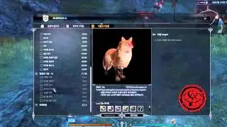 Bless online Elf Paladin Sistema de Drop