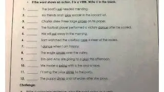 Noun and verb practice