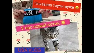 USA VLOG🇺🇸Уютный город DeWitt 🥰Вернулась в прачечную🧺Всем добра❤️