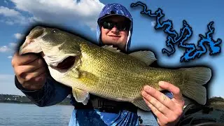 2024 Lake Travis Bass Fishing Compilation | Vol. 3