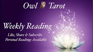 Gemini ~Offering an apology & taken responsibility! ~Weekly Reading~ Timeless Tarot Reading