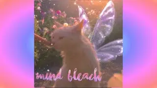 ☁️ 𝒎𝒊𝒏𝒅 𝒃𝒍𝒆𝒂𝒄𝒉 | subliminal: forget desired memories + remove intrusive thoughts