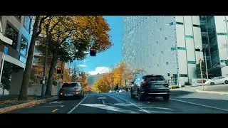 Auckland Streets in Autumn - The The World&rsquo;s Most Liveable City 2021