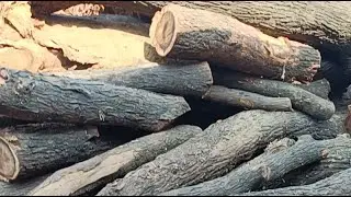 wood cutting machine 😲