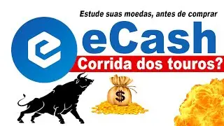 XEC ecash corrida dos touros 💥🕵🐂