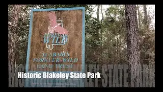 Exploring the Historic Blakeley State Park