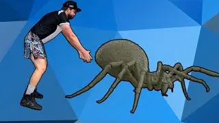 Выживание в паутине