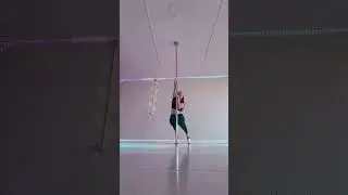Pole Dictionary: Attitude Spin or Stag Spin