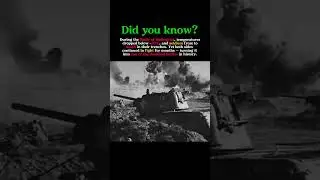 Frozen Hell: The Battle of Stalingrad&rsquo;s Deadly Winter #ww2