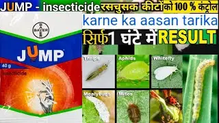 Bayer Jump Insecticide|sucking Pest or ras chusak kito ko control karne ka aasan tarika|#suckingpest