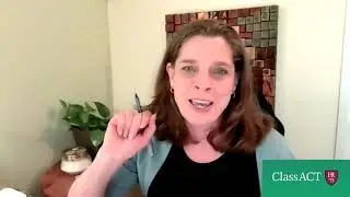 Reducing the Harm of Structural Racism - Georgetown Law Professor Christy E. Lopez