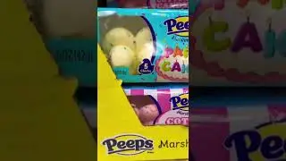 #shorts #adventuretvusa #viral #peeps #marshmallow #dollartreehaul #nycvlog ￼