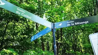 Montr&eacute;al - Parc Thomas-Chapais - 4K
