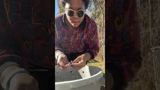 How to compost hair #compost #composting #short #shorts #hair #compostbin
