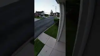 Security camera footage  #aigenerated #puppy #bizarre #cute #aisimulation #funny #cctvfootage