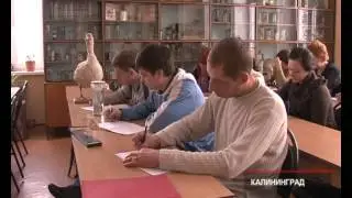 Языки