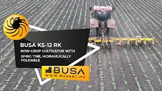 BUSA KS-12 RK Row-crop cultivator with spring tine, hidraulically foldable