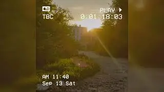 HOUSE PHONK (blues)