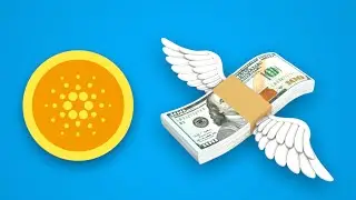 Why Cardano?