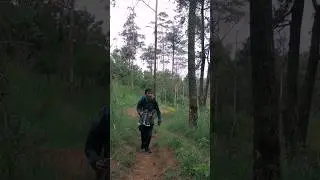 Hunting foto di hutan pinus #1