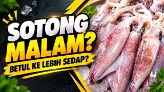 Menjala Sotong Waktu malam | Pulau Balar Langkawi,Best ke?