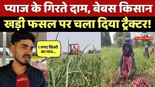 Onion Prices Fall In MP: 1 रुपए किलो बिक रहा प्याज, Farmers का छलका दर्द, उठाया ये कदम! MP News