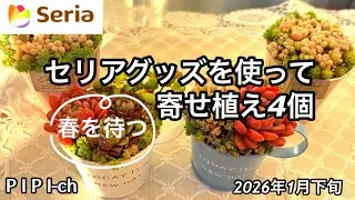 4 суккулентных растения в весенней композиции с использованием продукции Seria.