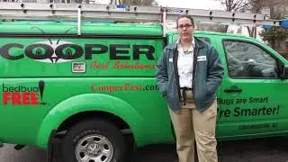 Get Rid of Ants Scotch Plains NJ | Ant Removal Scotch Plains NJ
