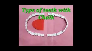 દાંત અને જીભની રચના Science model /how to make teeth model/teeth model with chalk/teeth diy model