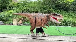 Realistic Animatronic Dinosaur Costume T Rex Costume Man Control Kawah Dinosaur Factory Sale