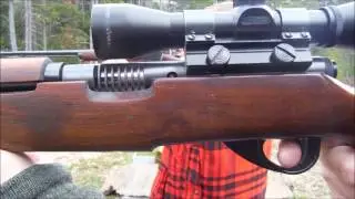 Sears-Ranger Springfield M87 in .22 LR