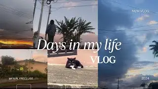 Slow days in my life: normalizing rest, editing , food, films, mountain views+more