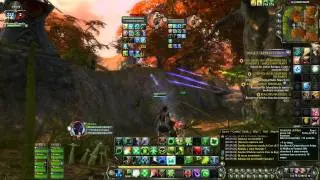 Alliatura Mage Chloro PvP