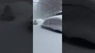 When the Blizzard Took Over Toronto