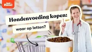 Hondenvoeding kopen waar op letten?