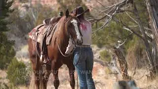 HIT THE LIGHT - 2017 AQHA GELDING by RMO Horses