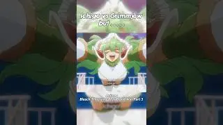 Ichigo Meets Nel Again