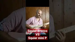 Squier Bronco VS Squier Mini